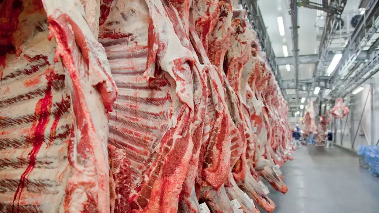 Exportação de carne bovina | Divulgação/Abiec
