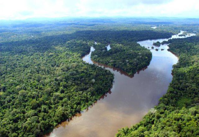 floresta amazônica
