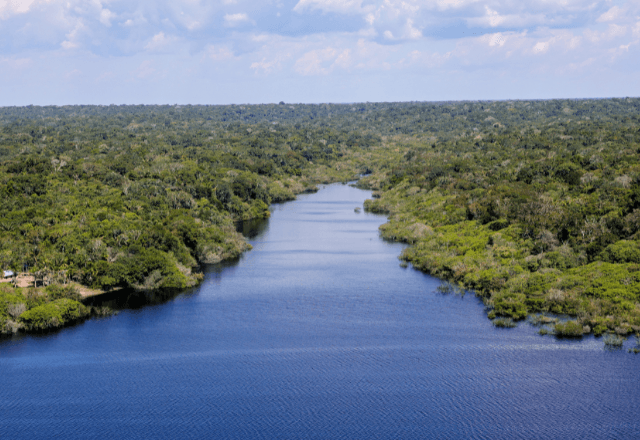 Floresta margeada pelo Rio Negro | Fabio Rodrigues-Pozzebom/Agência Brasil