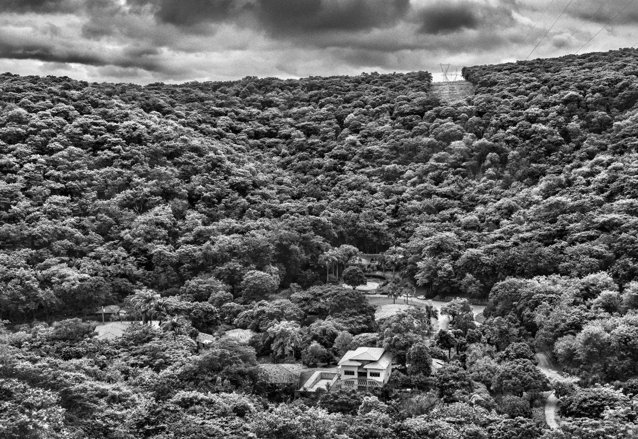 Floresta recuperada por instituto criado por Sebastião Salgado e esposa | Divulgação/Instituto Terra