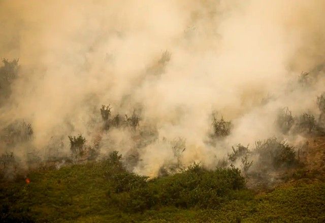 Incêndio no interior de São Paulo | Agência Brasil/Joédson Alve