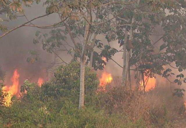 focos de incêndio