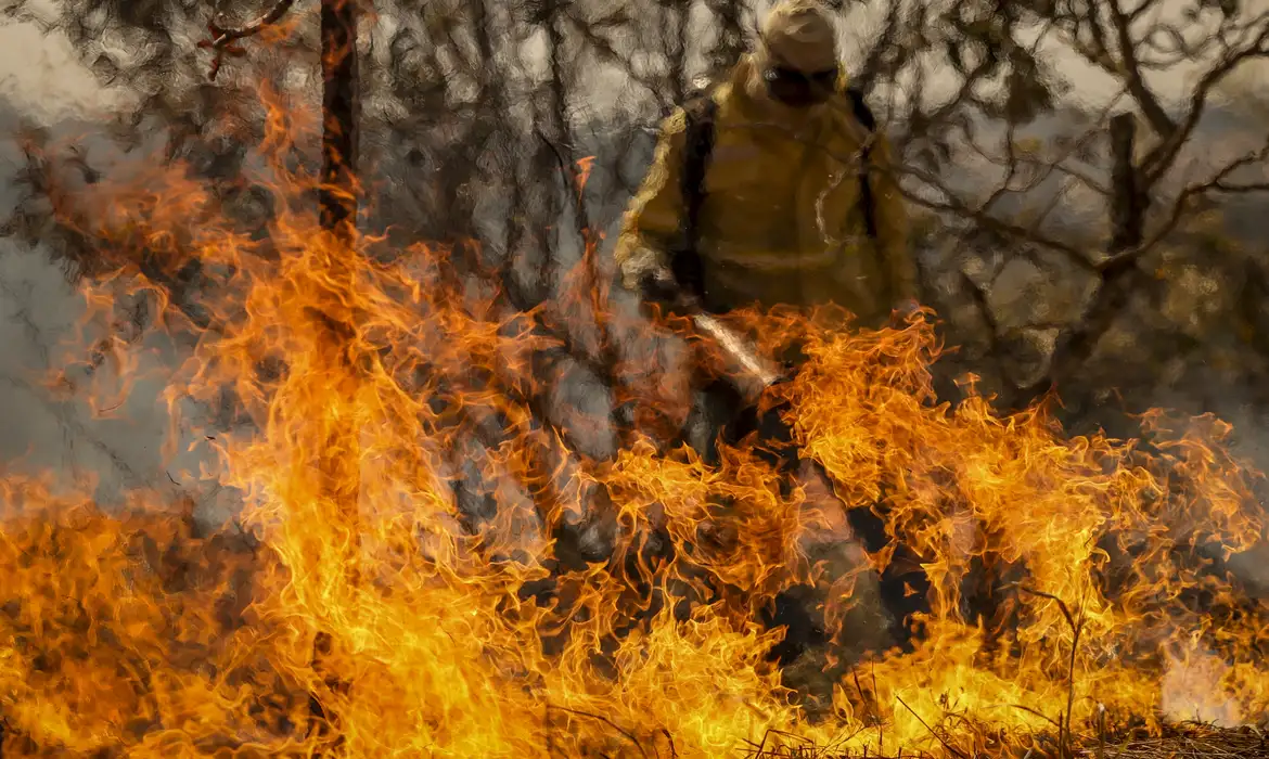 Projeto enviado pelo governo quer endurecer crimes ambientais, como a provocação de incêndios | Marcelo Camargo/Agência Brasil