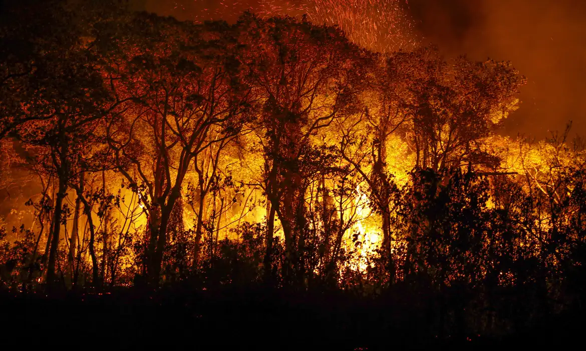 Foto: Joédson Alves/Agência Brasil