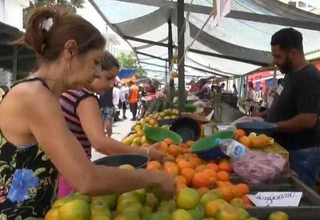 foto de hortaliças em barraca de feira