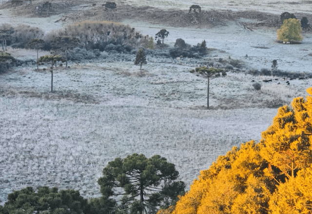 Frio intenso antecipa inverno no Sul e derruba temperaturas abaixo de zero em Santa Catarina Frio intenso antecipa inverno no Sul e derruba temperaturas abaixo de zero em Santa Catarina