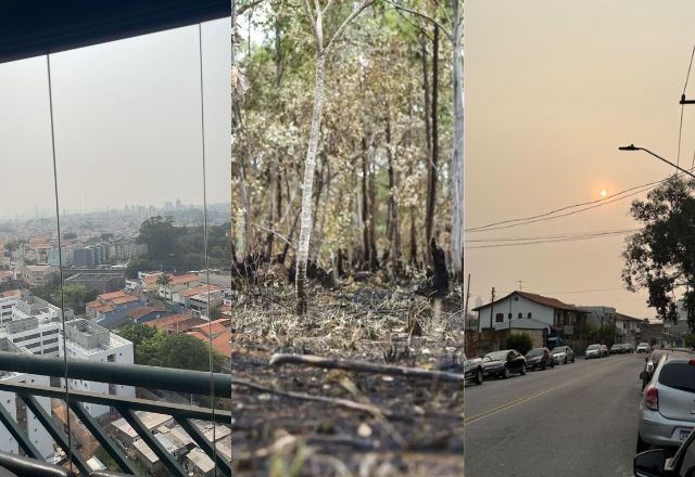 Céu acinzentado é resultado de fumaças das queimadas | Montagem: Reprodução/Redes sociais; Marcelo Camargo/Agência Brasil; Emanuelle Menezes/SBT News