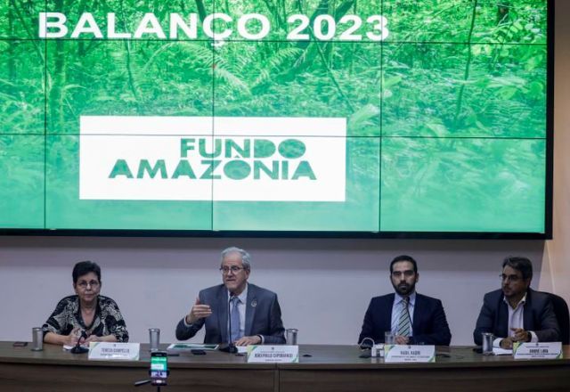 Fundo Amazônia atinge maior valor de captação desde 2009