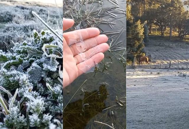 Cidades de Santa Catarina registraram temperaturas abaixo de zero e geada | Reprodução/Sérgio Felipe Rodrigues