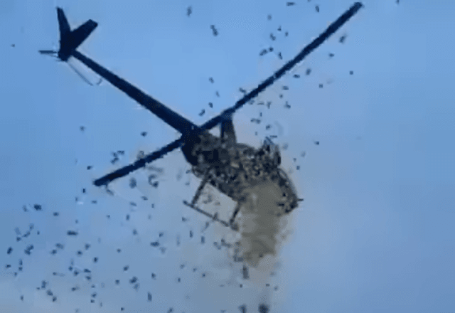 Dinheiro é jogado de um helicóptero em uma das principais avenidas de Detroit, nos EUA | Reprodução/Facebook