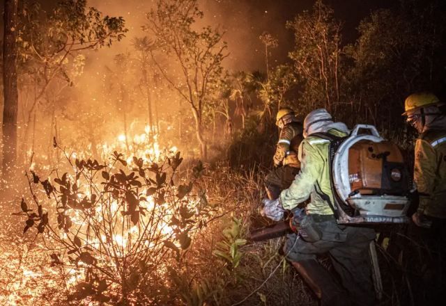 Equipes trabalham para conter fogo que devasta a Amazônia. (Crédito: Mayangdi Inzaulgarat/Ibama)