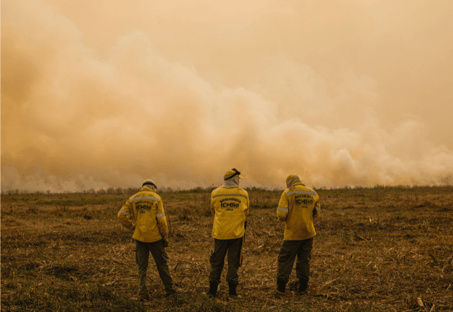Militares atuam como apoio as estratégicas de combate do ICMBio | Joédson Alves/Agência Brasil