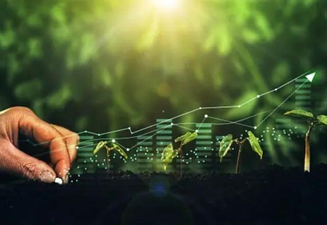 imagem com projeções no agro
