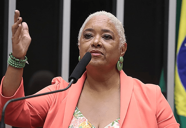 Deputada federal diz ser alvo de racismo durante sessão: 'Talvez seja pela minha cor' | Foto: Câmara dos Deputados