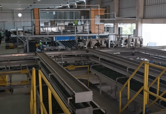EmpregosAgro facilita a conexão entre profissionais e oportunidades no setor rural EmpregosAgro facilita a conexão entre profissionais e oportunidades no setor rural