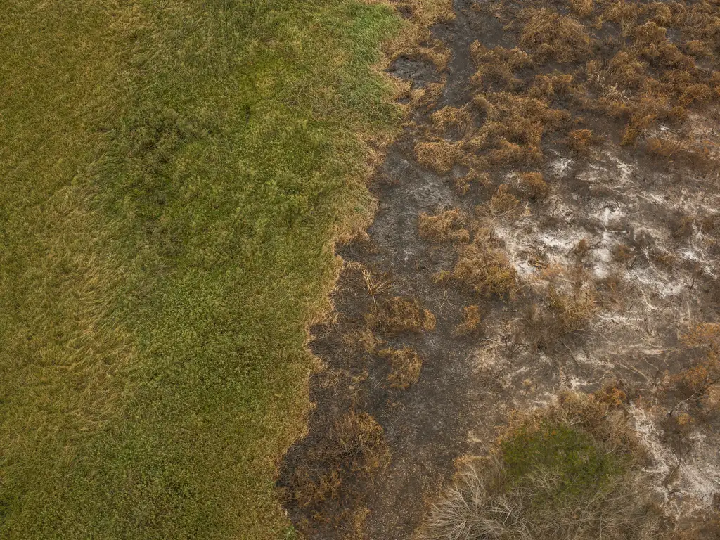 Imagens aéreas mostram áreas devastadas pelo fogo no Pantanal | Marcelo Camargo/Agência Brasil