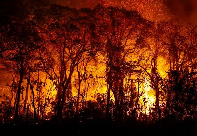 Lewandowski autoriza uso da Força Nacional para combater incêndios florestais em seis estados Lewandowski autoriza uso da Força Nacional para combater incêndios florestais em seis estados