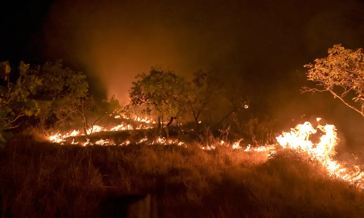 Governo quer aumentar a arrecadação internacional para apoio a incêndios em biomas | Jader Souza/AL Roraima