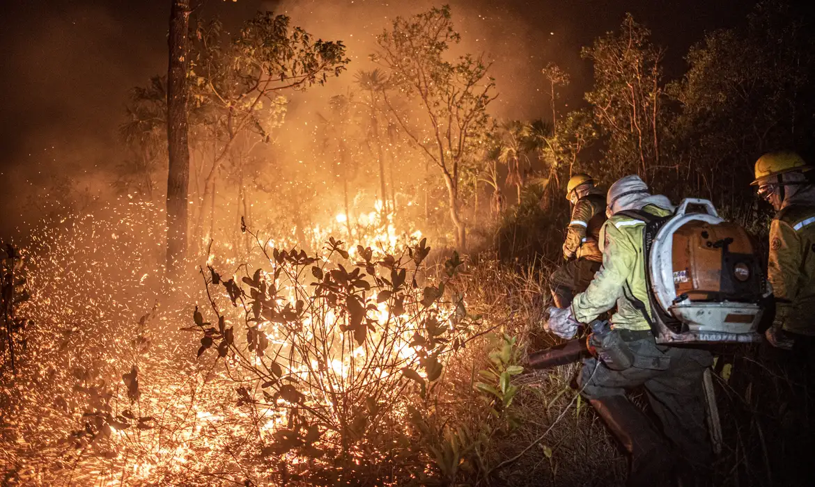 Pauta ambiental ficou de fora de análises do Congresso em meio a recorde em incêndios e seca no país | Mayangdi Inzaulgarat/Ibama
