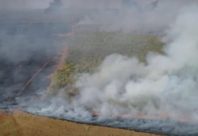 incêndio em floresta