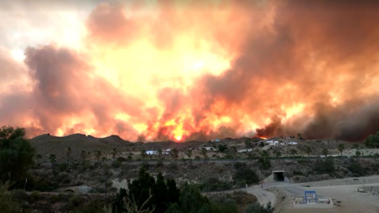 Incêndio florestal deixa 11 mortos no sul da Espanha Incêndio florestal deixa 11 mortos no sul da Espanha