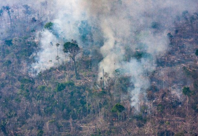 Amazônia: incêndios em florestas públicas não destinadas aumentam 64% em 2024 | Foto: Reprodução