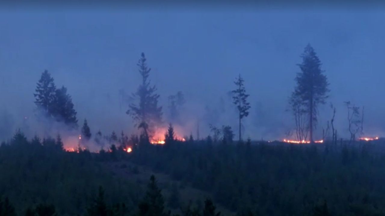 Incêndio florestal atinge reserva de High Fens, na Bélgica | Reprodução/Reuters