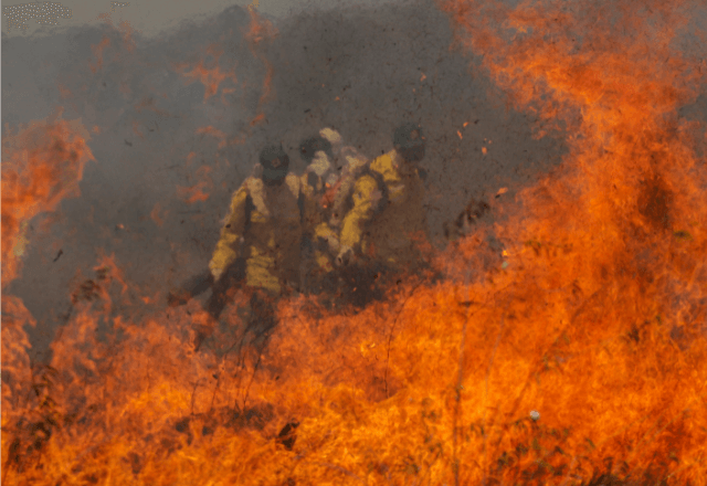 Brigada de incêndio da Prevfogo composta com membros da comunidade quilombola Kalunga, durante simulação de combate ao fogo no Cerrado no Engenho II, em 2023 | Joédson Alves/Agência Brasil