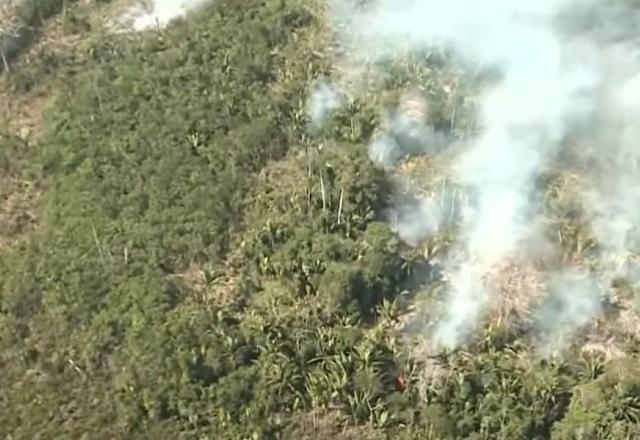 Medicos Sao Enviados Ao Amazonas Apos Queimadas