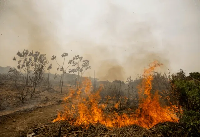 Incêndio atingiu, até o momento, 541 mil hectares da região do Pantanal, área equivalente a três cidades de São Paulo | Joédson Alves/Agência Brasil