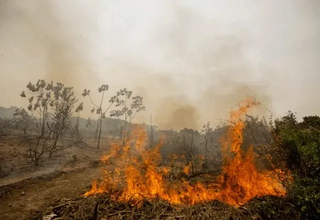 Mais de mil cidades brasileiras sofrem com seca severa e risco constante de queimadas