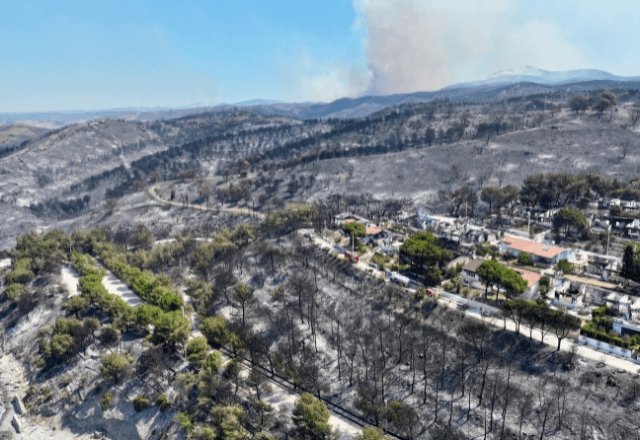 Imagem de drone após incêndio em Seferihisar, perto de Izmir 30/6/2025 REUTERS/Ufuk Erdem