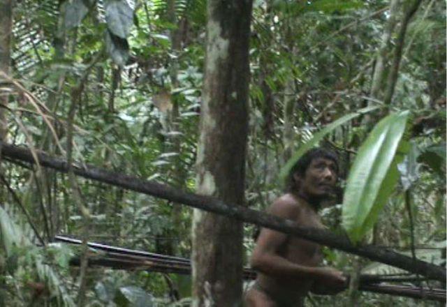 indígena isolado no meio da floresta