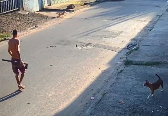 Irmão persegue irmã com machado durante briga de família 
