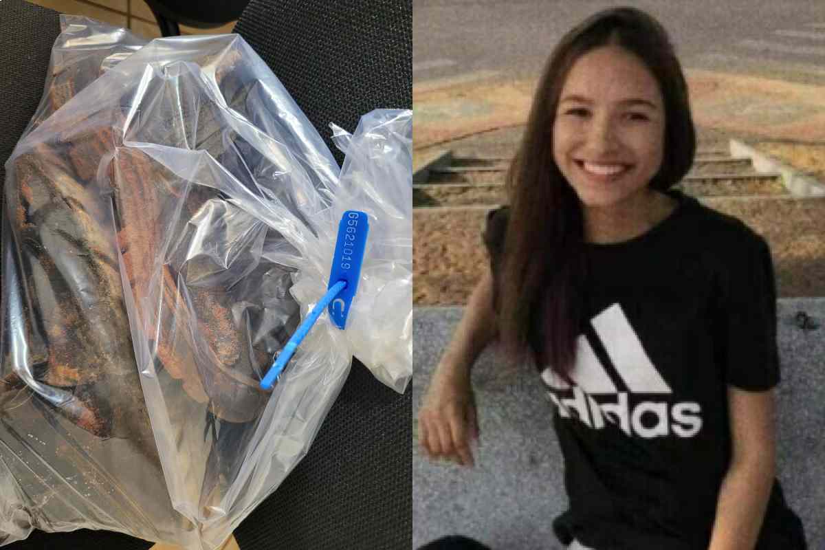 Isis Victória Mizerski está desaparecida desde julho. | Reprodução/Rede Massa