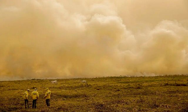 Flávio Dino determina ação conjunta de polícias e Forças Armadas para combater incêndios florestais 