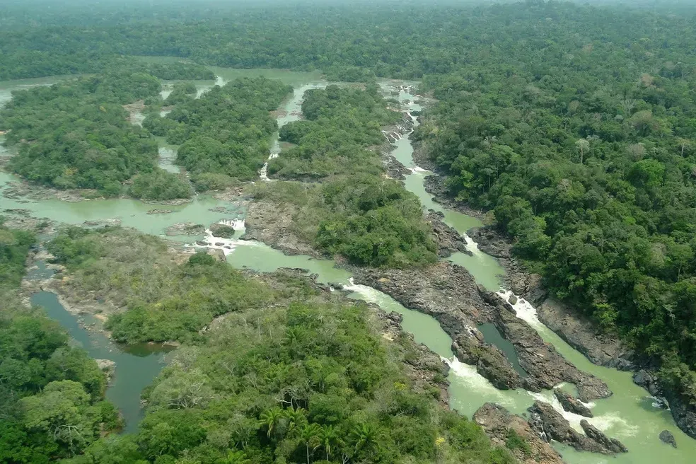 Câmara aprova redução da Floresta Nacional do Jamanxim em área protegida da Amazônia