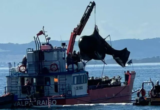 Helicóptero que era pilotado por Sebastian Piñera foi retirado do fundo do lago | Reprodução/X/@josemdelpino