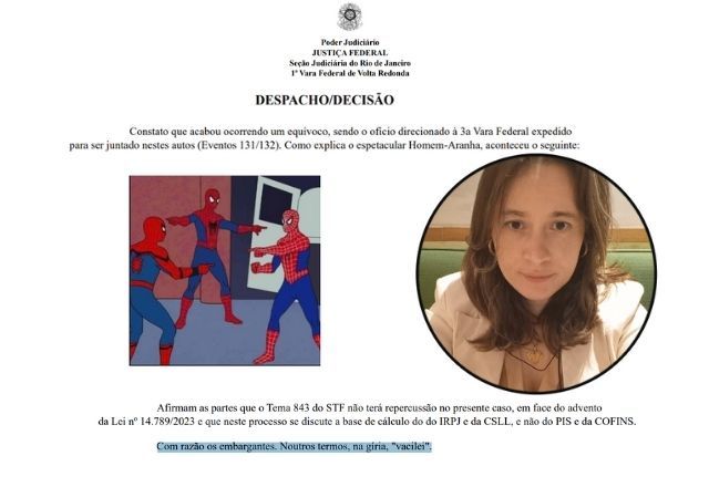Juíza usa meme do "Homem Aranha" e escreve "vacilei" em despachos | Reprodução