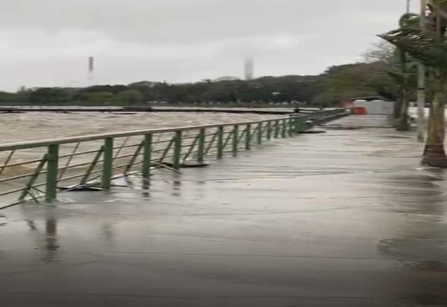 lago cheio, água, palmeiras, folhas na avenida