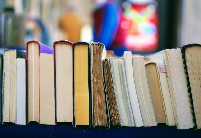 Crime e Castigo, A Vegetariana e Harry Potter: veja as obras mais lidas no MEC Livros