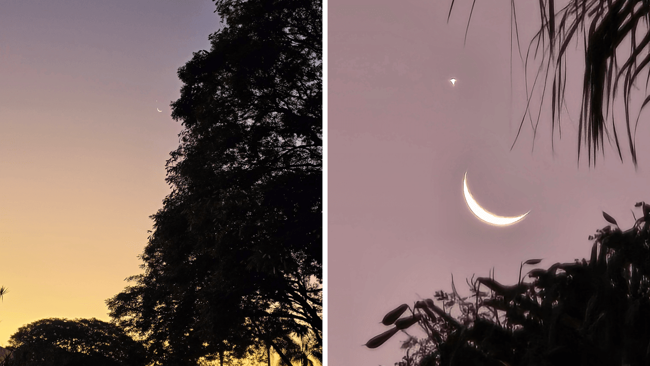 Lua e Vênus apareceram lado a lado no céu | Reprodução Renzo Dias/ Observatório Didático de Astronomia da Unesp