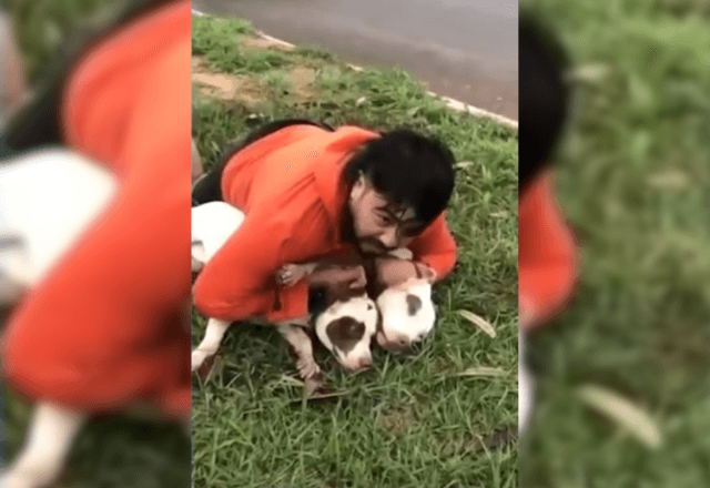"Achei que ia morrer": Lutador de muay thai imobiliza dois pitbulls após ataque "Achei que ia morrer": Lutador de muay thai imobiliza dois pitbulls após ataque