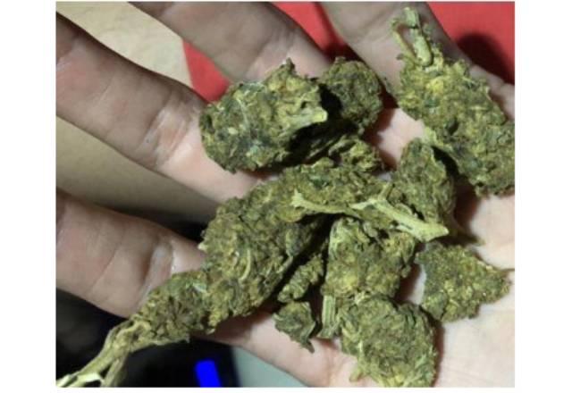 maconha na mão de um policial