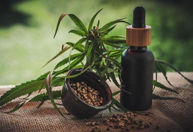 Produto medicinal terá 20 mg/ml de canabidiol (CBD) e não mais que 0,2% de tetrahidrocanabinol (THC) | Pixabay