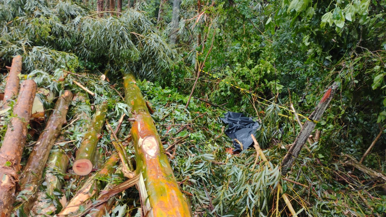 Foto: Bombeiros Voluntários de Riozinho