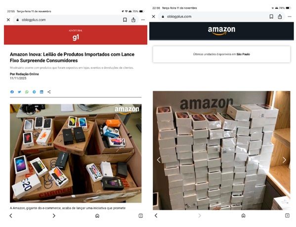 Exemplo de páginas e anúncios falsos usados por golpistas para enganar consumidores (Reprodução)