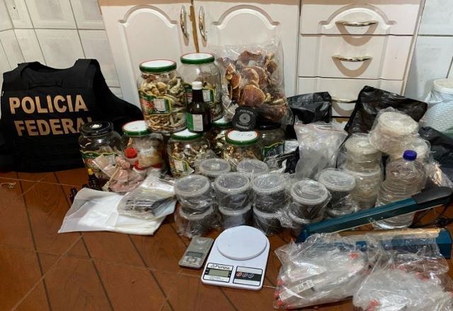 PF desmonta esquema de venda de cogumelos alucinógenos pela internet em Belo Horizonte