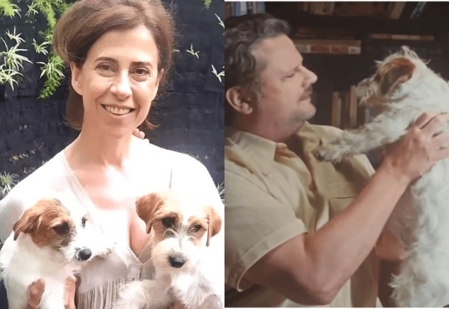 Suri e Ozzy, que interpretam o cachorro Pimpão, são irmãos / Reprodução Redes Sociais