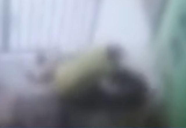 Dono de cadela protege animal de ataque de pitbull em MG Dono de cadela protege animal de ataque de pitbull em MG